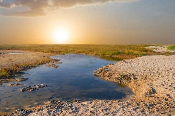 Μικρή Λιμνούλα Νερό Ένα Λιβάδι Στο Ηλιοβασίλεμα — Φωτογραφία Αρχείου