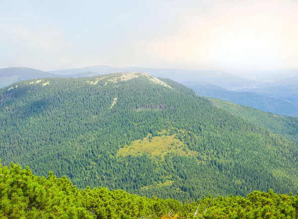 Verde Valle Montagna Mattino Presto — Foto Stock