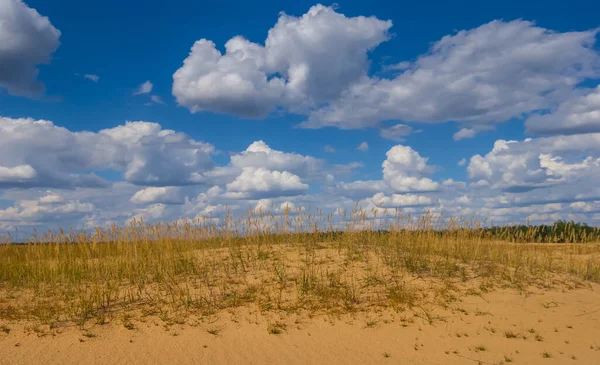 Zandige Prairie Onder Een Dichte Cumulus Wolken — Stockfoto