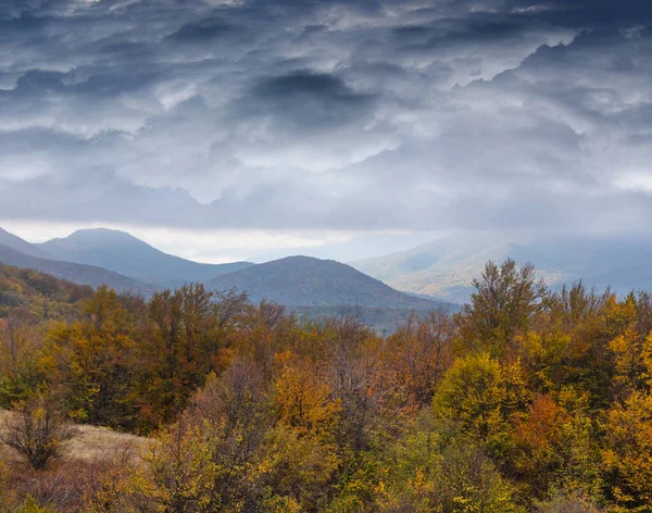 Bergtal Mit Herbstwald Unter Dichten Dramatischen Wolken — Stockfoto