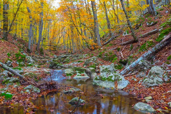 Kleiner Ruhiger Fluss Einer Gebirgsschlucht Herbstliche Outdoor Szene — Stockfoto