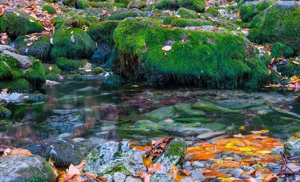 Quiet Small River Rushing Mountain Canyon Autumn Mountain Scene — Stock Photo, Image