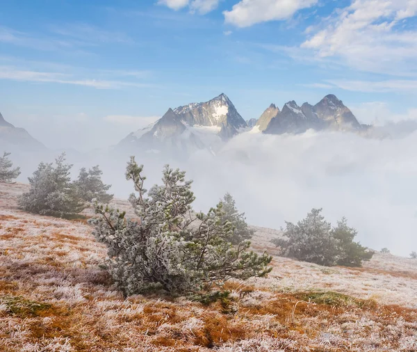 Bergplateau Mit Kiefernwald Nebel Und Dichten Wolken Reisehintergrund Freien — Stockfoto