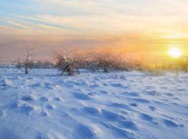 Gün batımında karla kaplı ovalarda, güzel kış arkaplanlarında