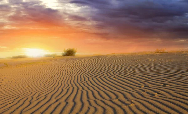 Brede Zandwoestijn Scène Bij Zonsondergang — Stockfoto