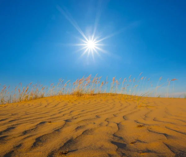 Sanddüne Der Wüste Unter Funkelnder Sonne — Stockfoto