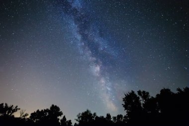 Orman silueti yıldızlı gökyüzünün altında Samanyolu ile, güzel gece arkaplanı