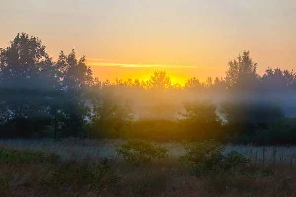 Восход Солнца Над Лесной Поляной Тумане Ранним Утром Открытом Воздухе — стоковое фото