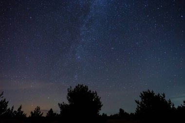 Orman silueti yıldızlı gökyüzünün altında Samanyolu ile, güzel gece arkaplanı