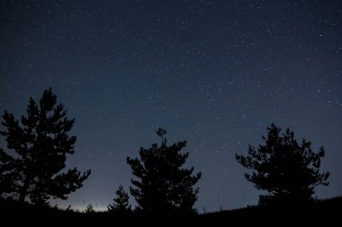 Yıldızlı gökyüzünün altında orman silueti, güzel bir açık hava arka planı.