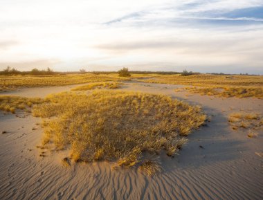 Gün batımında kumlu çayır, sakin sakin açık hava sahnesi