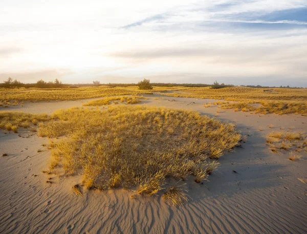 Zandige Prairie Bij Zonsondergang Rustige Rustige Buitenscène — Stockfoto