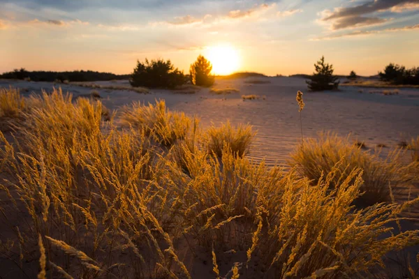 Zandige Prairie Bij Zonsondergang Rustige Rustige Buitenscène — Stockfoto