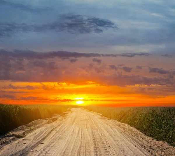 Estrada Terra Entre Uma Pradaria Pôr Sol Dramático — Fotografia de Stock