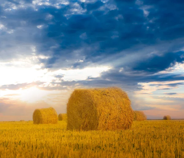 Summer Wheat Field Haystack Sunset Agricultural Background — Stock Photo, Image