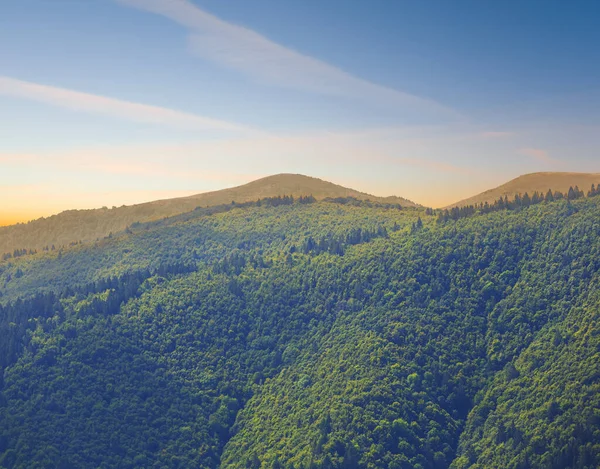 Cordillera Cubierta Por Bosque Verde — Foto de Stock