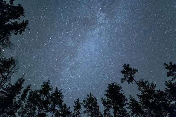 Pemandangan Langit Berbintang Dengan Cara Susu Dari Glade Hutan Dengan — Stok Foto