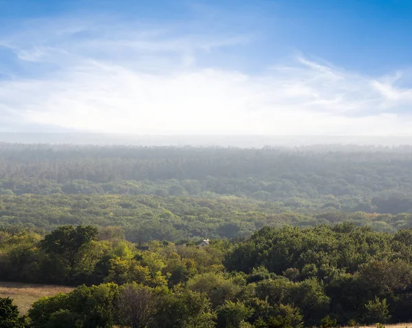 Forêt Verte Dans Brume Tôt Matin Scène Naturelle Extérieure — Photo