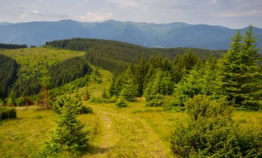 Bulutlu bir gökyüzünün altında yeşil dağlar, yaz tatili arka planı