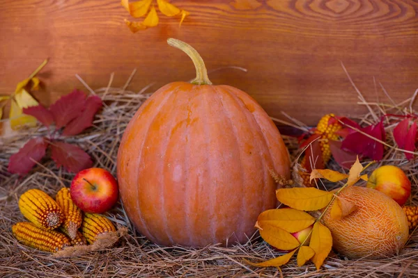 Stilleben Med Mogen Pumpa Äpple Majs Torrt Gräs Och Höstlöv — Stockfoto