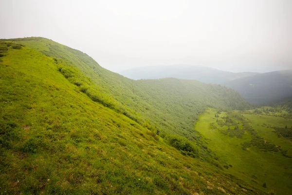 Cresta Montaña Verde Tranquilo Día Húmedo Fondo Viaje Aire Libre —  Fotos de Stock