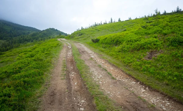 Geasfalteerde Weg Een Helling Terreinachtergrond — Stockfoto