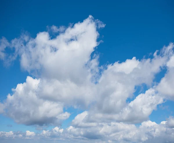 Beautiful Fluffy Cumulus Clouds Blue Sky Background — Stock Photo, Image