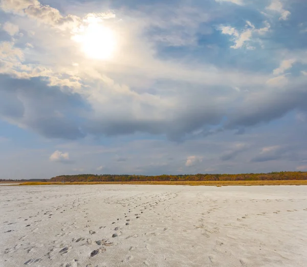 Sıcak Yaz Güneşinin Altında Geniş Kuru Tuzlu Arazi Susuz Vahşi — Stok fotoğraf