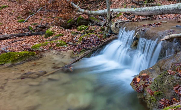 Malá Řeka Protékající Podzimním Horským Kaňonem Pokryla Suché Listí — Stock fotografie