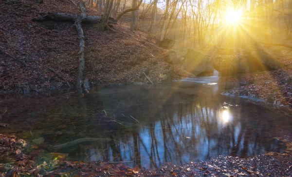 Kleine Beek Stroomt Een Bergen Een Licht Van Zon Herfst — Stockfoto