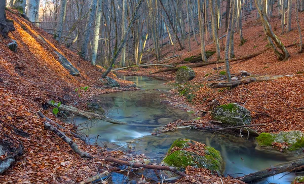 Petite Rivière Précipitant Sur Automne Canyon Montagne Couvert Une Feuilles — Photo