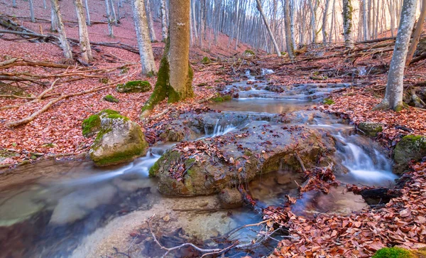 Small River Rushing Autumn Mountain Canyon Covered Dry Leaves — Stock Photo, Image