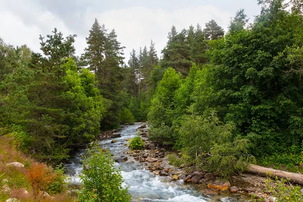 Mountai Nehri Çam Ormanlarında Dağ Vadilerinde Akıyor — Stok fotoğraf