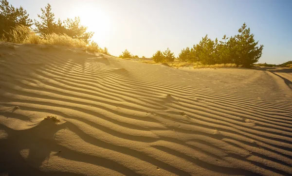 Amplio Desierto Arenoso Atardecer Fondo Salvaje Natural — Foto de Stock
