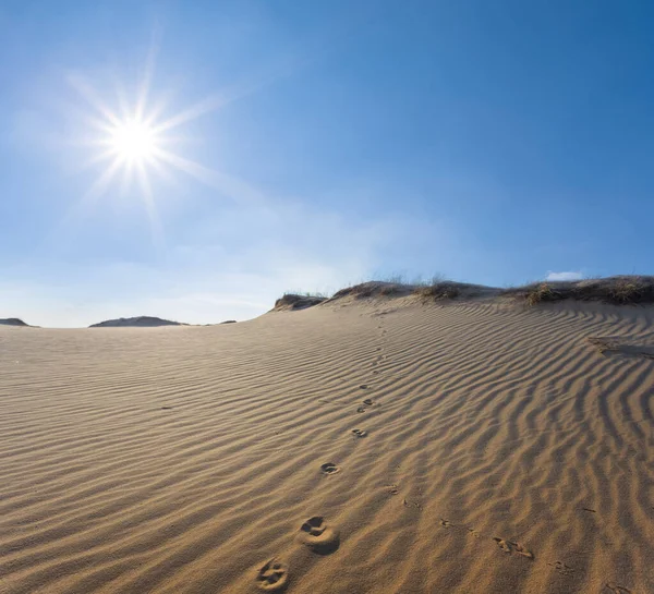 Amplo Deserto Arenoso Sob Sol Brilhante Quente — Fotografia de Stock