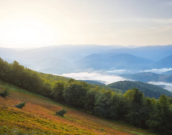 Bergtal Blauen Nebel Beim Sonnenaufgang Frühmorgendliche Bergszene — Stockfoto