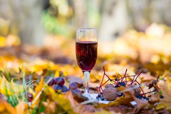 Closeup Wine Glass Stay Vine Dry Leaves Autumn Outdoor Drink — Stock Photo, Image