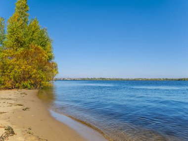 Kızıl sonbahar ağacıyla kumlu nehir kıyısı