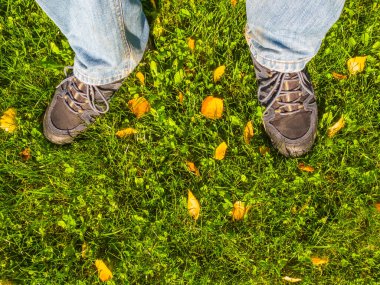 Yakın plan erkek bacakları yeşil çimlerde kalır.