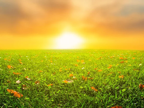 Dramatic Sunset Green Field Outdoor Rural Background — Stock Photo, Image