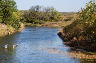 Sahilde ormanı olan sakin mavi bir nehir, kırsal bir bölge.