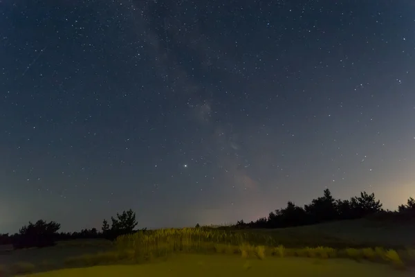 Nacht Sterrenhemel Boven Een Bos Silhouet — Stockfoto