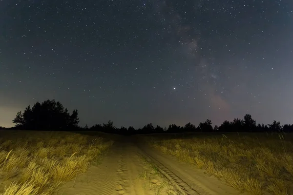 Gece Yıldızlı Gökyüzü Orman Siluetinin Üstünde — Stok fotoğraf
