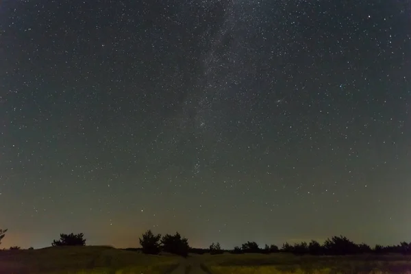 Ciel Étoilé Nocturne Dessus Une Silhouette Forêt — Photo