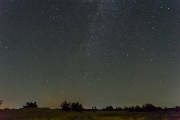 night starry sky above a forest silhouette