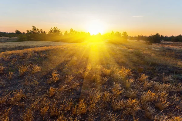 Brede Zandige Prairie Met Gras Bij Zonsondergang Natuurlijke Outdoor Achtergrond — Stockfoto