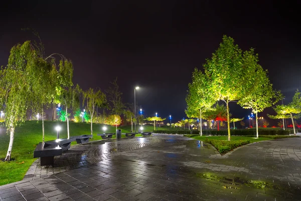 Wet Night Park Rain Quiet City Scene — Stock Photo, Image