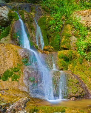 Dağ nehri üzerindeki küçük şelale kırmızı kuru yapraklarla kaplı kanyondan akıyor.