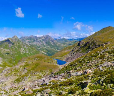 Yeşil yaz vadisinde küçük mavi bir göl