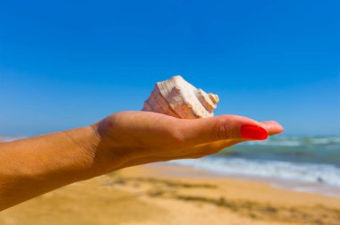 Kadın avuç içinde deniz kabuğu tutuyor